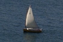 232906-210x140