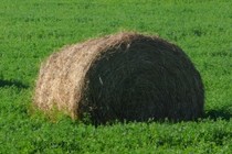 233594-210x140