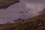 boats