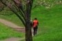 Lovers on a Spring walk