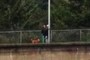 Dog walker