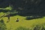 taking a picnic ?