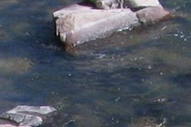 234107-210x140
