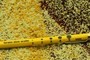 Grain size scale