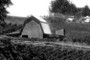 A newer barn
