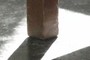 Foot