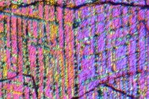234722-210x140