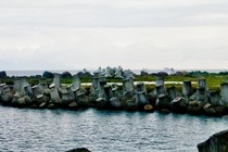 234694-210x140