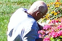 234658-210x140
