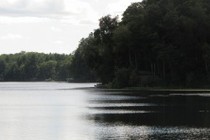 235230-210x140