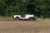 235315-210x140