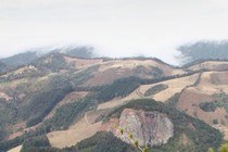 235262-210x140