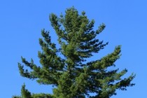 235488-210x140