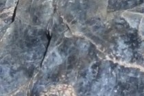 235977-210x140