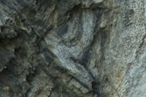 236307-210x140