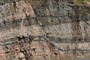 Fold or fault?