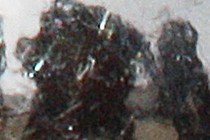 236031-210x140