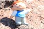 A billion years old dwarf