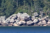 236342-210x140