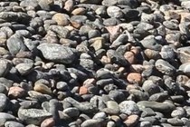 236335-210x140