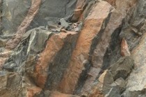 236374-210x140
