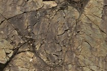 236376-210x140