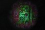 Plant Cells