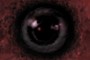 The Eye . . . 