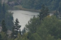 236572-210x140