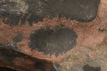 236598-210x140