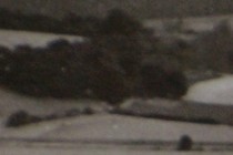 236751-210x140