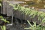 Small fall