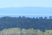 236657-210x140