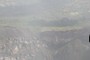 Pteronotus flight path