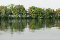 236930-210x140
