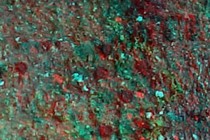 236931-210x140