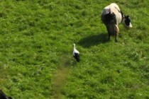 237046-210x140