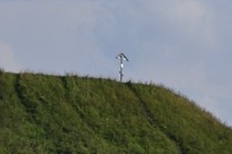 237067-210x140