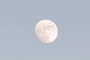 The Moon