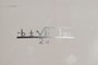 Quadratic Equation