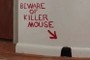 Killer Mouse