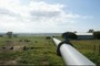 Golden Pipeline, Meckering