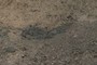 EV2 - basalt contact location