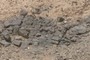 EV2 sample location
