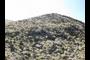 Hot Dog Hill 