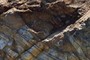 Discontinuity