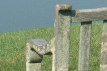 238335-210x140