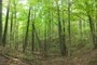 Terrain