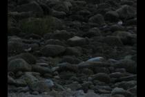 24396-210x140