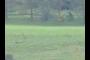 Claverton Down/Bath Golf Course